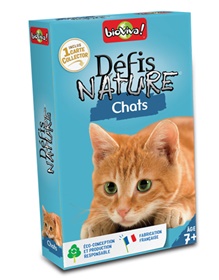 dn-chats-001