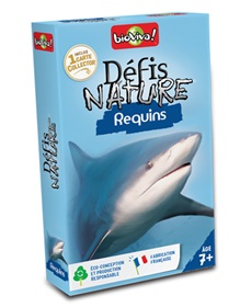 dn-requins-001