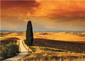 do-18362_coucher-de-soleil-en-toscane