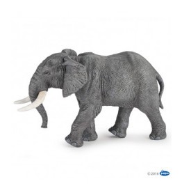 elephant-50192-d-afrique