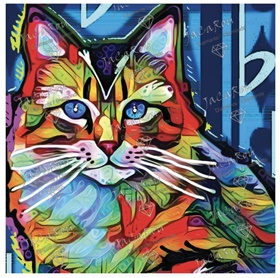 jdd-chat5050