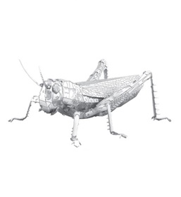 me1033