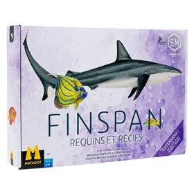 mt-fins-rr-001