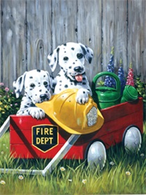 r-05689_fire-waggin