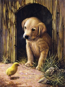 r-05693_labrador-puppy