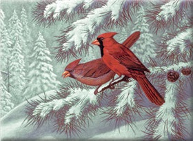 r-06847_cardinals