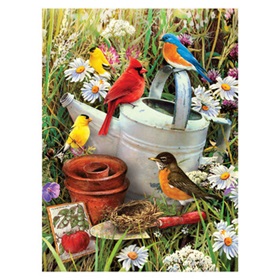 r-07718_garden-birds