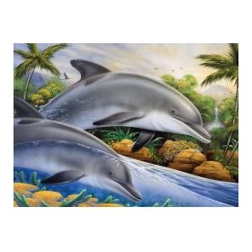 r-37372_dolphin-island