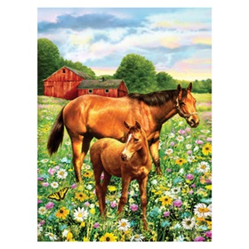 r-94333_horse-in-field