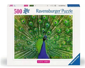ravens-12001332