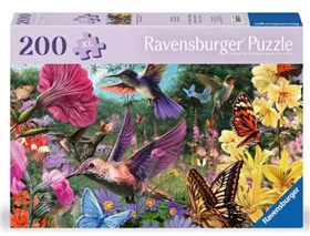 ravens-12001369