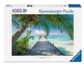 ravens-12001737