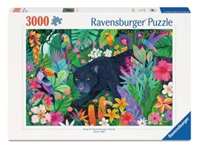 ravens-12001748