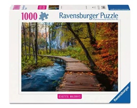 ravens-12001764