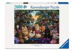 ravens-12001854
