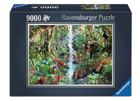 ravens-12001920