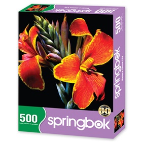 springbok-33-02551