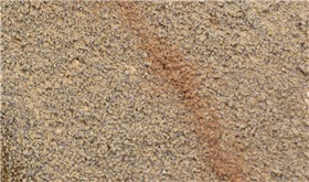 ws1288