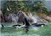 rgb-80249-orcas