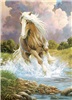 rgb-80279-river-horse